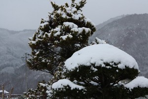 雪景色