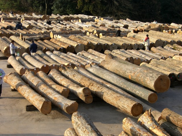 木材市場